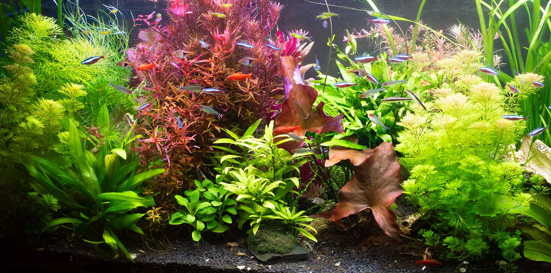 Yuyao Hualong Welding Meter Factory. 